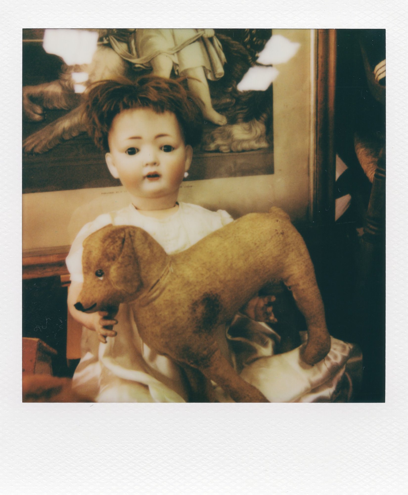 she kept the dog — polaroid from Malvern Flea Fair, May 2026 — by Tom Lee