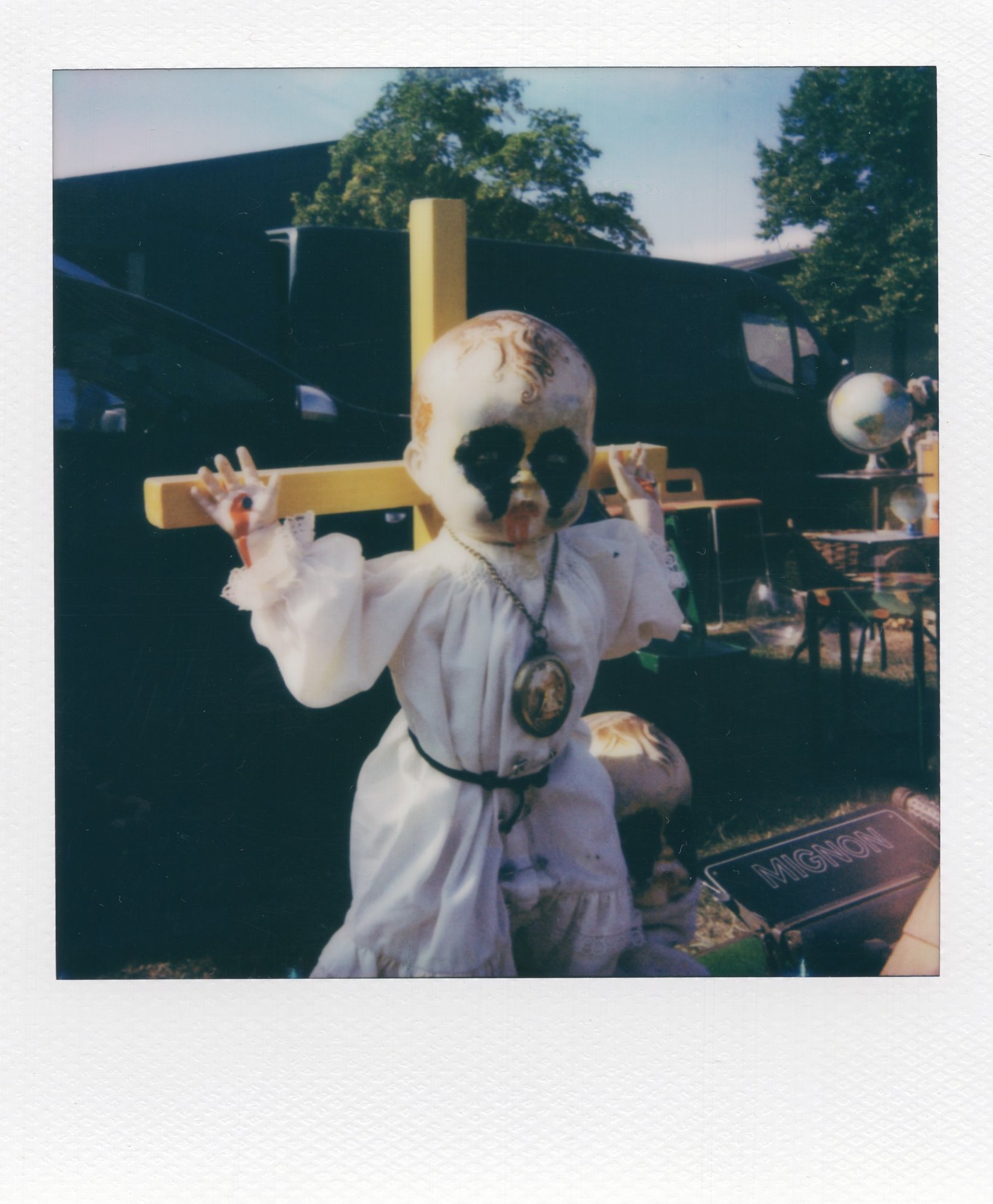 black-eyed and unbothered — polaroid from Malvern Flea Fair, May 2026 — by Tom Lee
