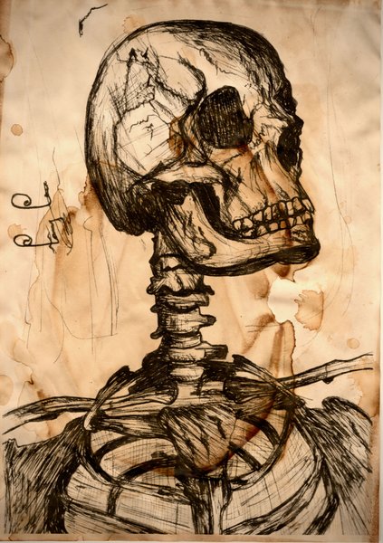 Bare Bones — ink & tea wash drawing by Tom Lee