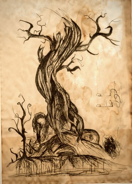 Elder Bough — ink & tea wash drawing by Tom Lee