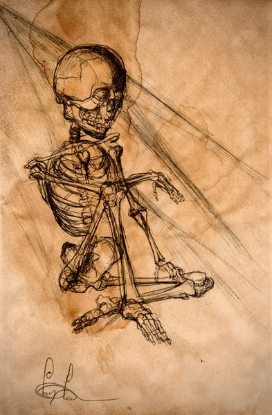 Quiet Bones — ink & tea wash drawing by Tom Lee